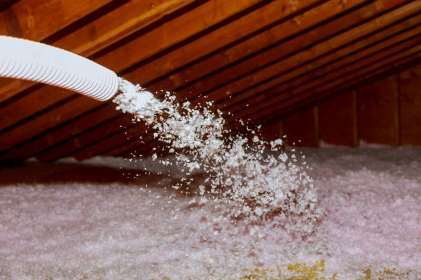 Best Eco-Friendly Insulation in Panaca, NV