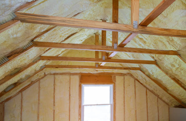 Best Energy Efficiency Insulation in Panaca, NV