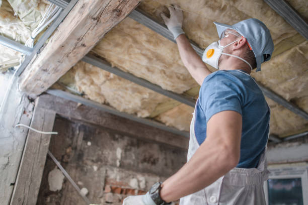 Best Energy Efficiency Insulation in Panaca, NV