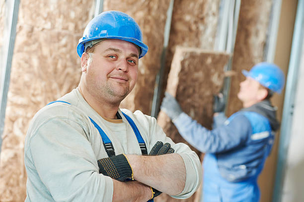 Best Insulation Maintenance and Repair in Panaca, NV