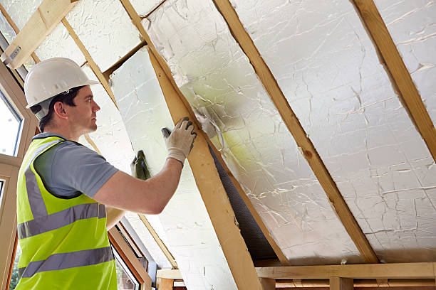 Types of Insulation We Offer in Panaca, NV