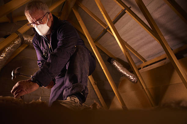 Types of Insulation We Offer in Panaca, NV