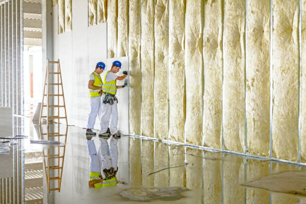 Best Blown-in Insulation in Panaca, NV